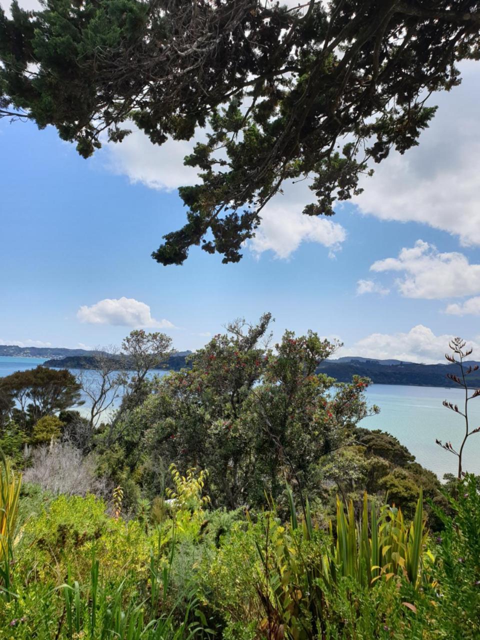 The Retreat Holiday House Paihia Eksteriør billede