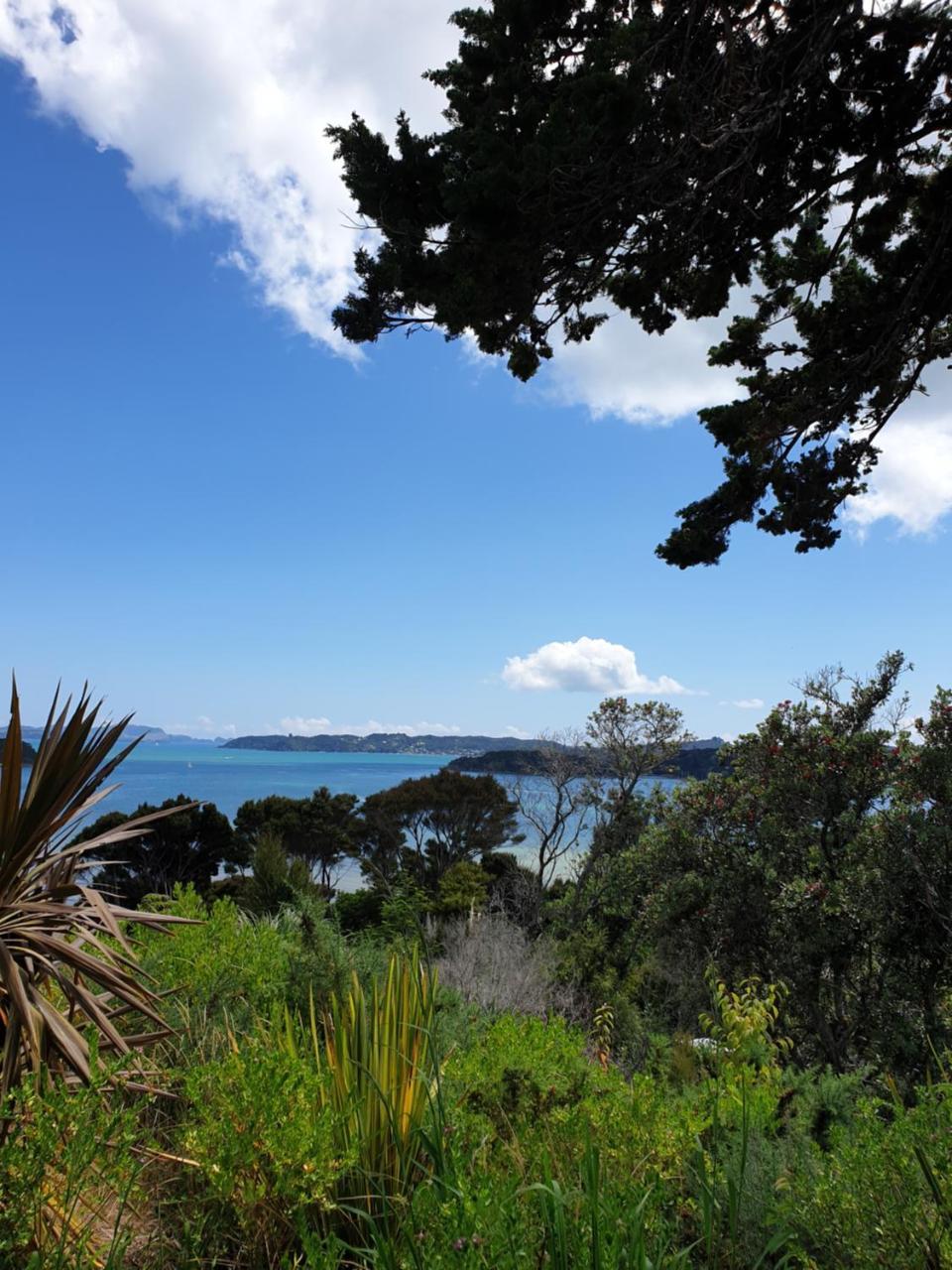 The Retreat Holiday House Paihia Eksteriør billede